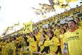 【柏２-０神戸】日立台を真っ黄色に染めた柏レイソルのサポーター。写真：茂木あきら（サッカーダイジェスト写真部）