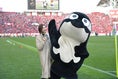 【マスコット総選挙PHOTO】１８万４００７票を集め堂々の連覇を達成した名古屋の「グランパスくん」｜写真：金子拓弥(サッカーダイジェスト写真部)