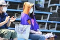 【PHOTO】サンフレッチェ広島レジーナサポーター｜写真：金子拓弥（サッカーダイジェスト写真部）