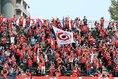 【PHOTO】ファジアーノ岡山サポーター｜写真：滝川敏之