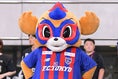 【PHOTO】FC東京公式マスコット「東京ドロンパ」｜写真：鈴木颯太朗