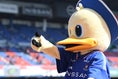 【画像】マリノス君(横浜F・マリノス公式マスコット)｜写真：鈴木颯太朗