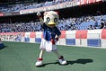 【画像】マリン(横浜F・マリノス公式マスコット)｜写真：鈴木颯太朗