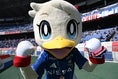 【画像】可愛すぎる！！！｜写真：鈴木颯太朗