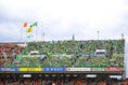 【厳選ショット】湘南ベルマーレサポーター｜写真：金子拓弥（サッカーダイジェスト写真部）
