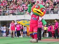【厳選ショット】｜写真：田中研治（サッカーダイジェスト写真部）