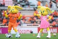 【画像】パルちゃん＆ピカルちゃん｜写真：金子拓弥（サッカーダイジェスト写真部）