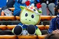 【画像】水戸ホーリーホックサポーター｜写真：滝川敏之
