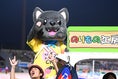 【画像】かいまる(南アルプス市公式マスコット)｜写真：鈴木颯太朗
