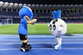【画像】試合前に気持ちを一つにするふろん太(左)＆カブレラ(右)｜写真：鈴木颯太朗