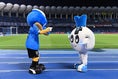 【ルヴァンカッププライムラウンド準決勝第1戦PHOTO】川崎３－１柏｜川崎フロンターレ公式マスコットの、ふろん太(左)とカブレラ(右)が選手入場前に可愛さで会場を盛り上げた！｜写真：鈴木颯太朗
