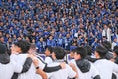 【画像】FC町田ゼルビアサポーター｜写真：金子拓弥（サッカーダイジェスト写真部）