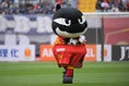 【画像】グランパスくんJr.｜写真：金子拓弥（サッカーダイジェスト写真部）