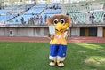 【画像】試合後、ベガルタ仙台のマスコット「ベガッ太」が甲府サポーターに届けた爆笑メッセージとは…｜写真：鈴木颯太朗