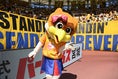 【厳選ショット】ベガルタ仙台公式マスコットの「ルターナ」が笑顔で周回！｜写真：鈴木颯太朗