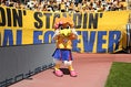 【画像】ルターナ(ベガルタ仙台公式マスコット)｜写真：鈴木颯太朗
