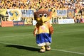 【画像】歩くベガッ太！｜写真：鈴木颯太朗